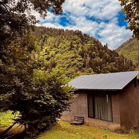 Cozy House In The Forest Borjomi Exterior foto
