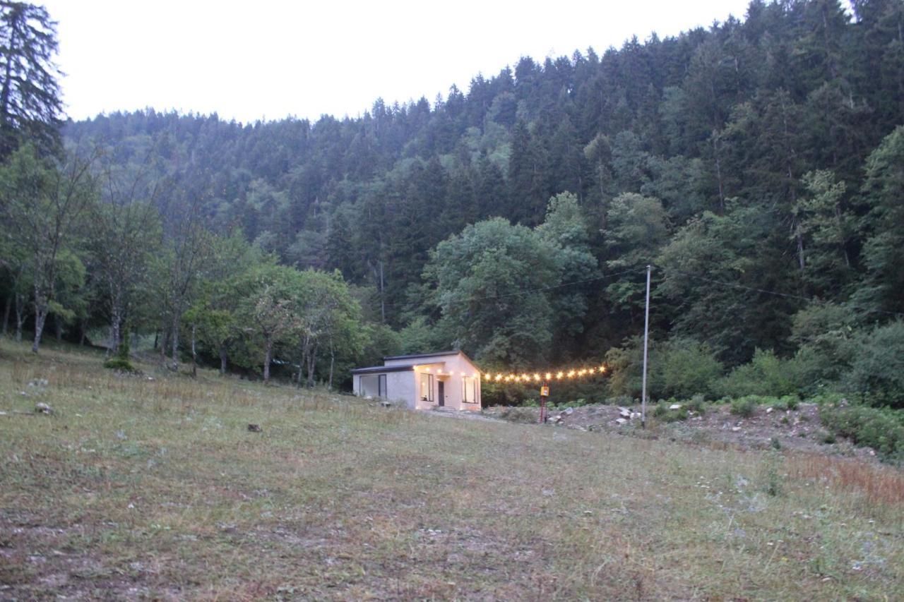 Cozy House In The Forest Borjomi Exterior foto