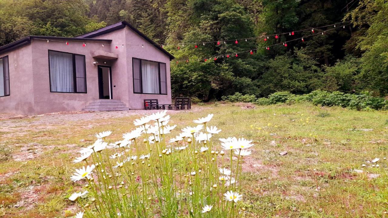 Cozy House In The Forest Borjomi Exterior foto