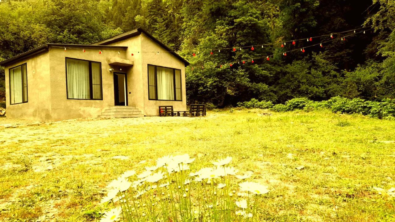 Cozy House In The Forest Borjomi Exterior foto