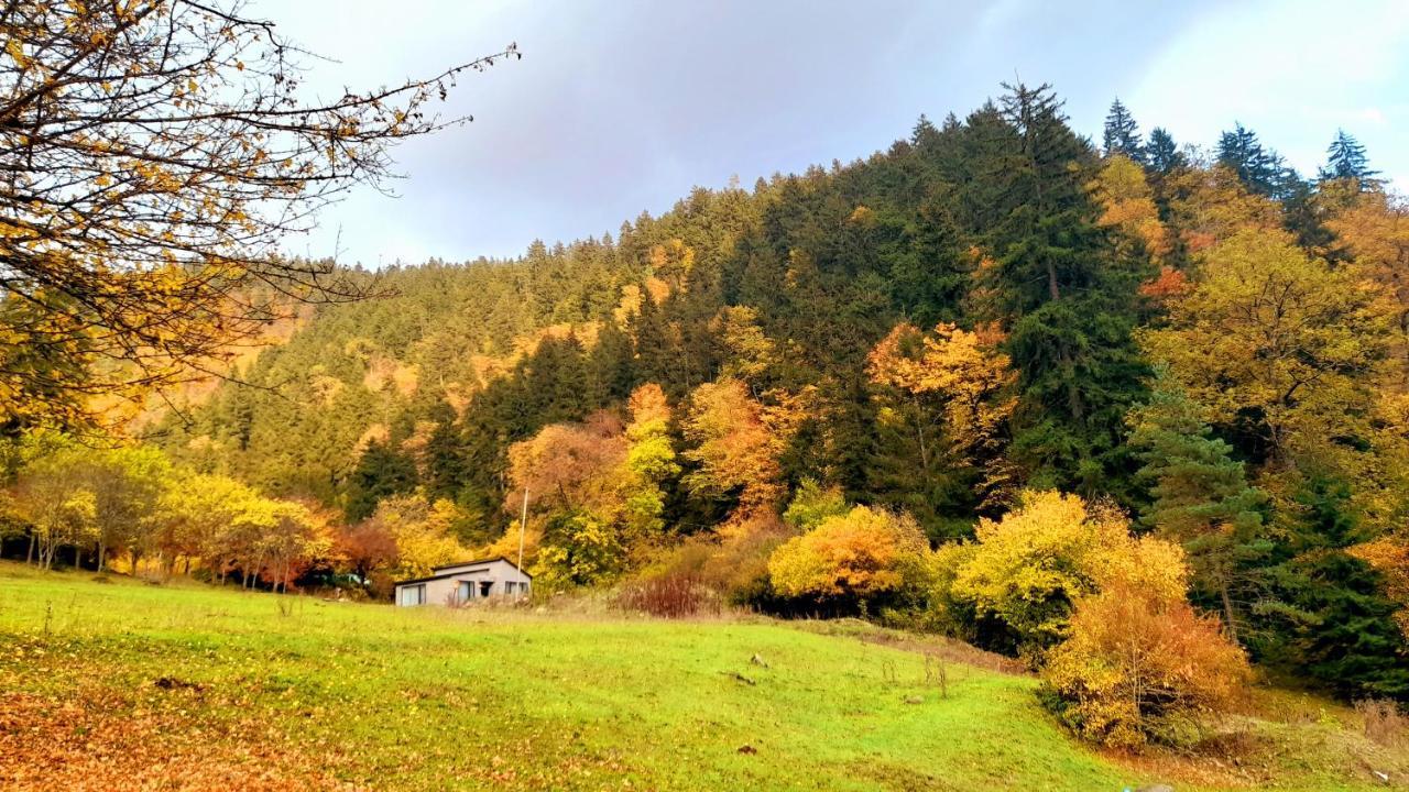Cozy House In The Forest Borjomi Exterior foto