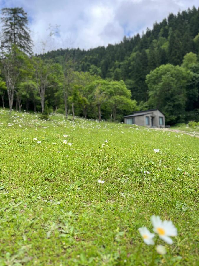 Cozy House In The Forest Borjomi Exterior foto