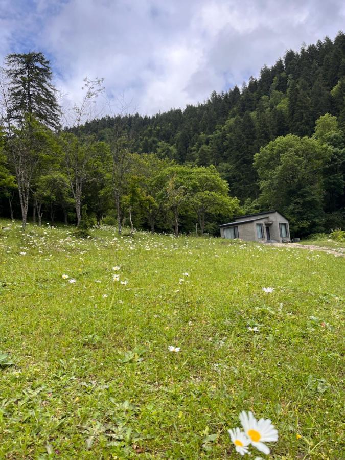Cozy House In The Forest Borjomi Exterior foto