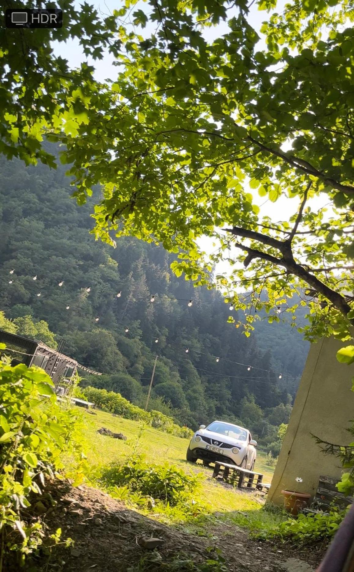 Cozy House In The Forest Borjomi Exterior foto