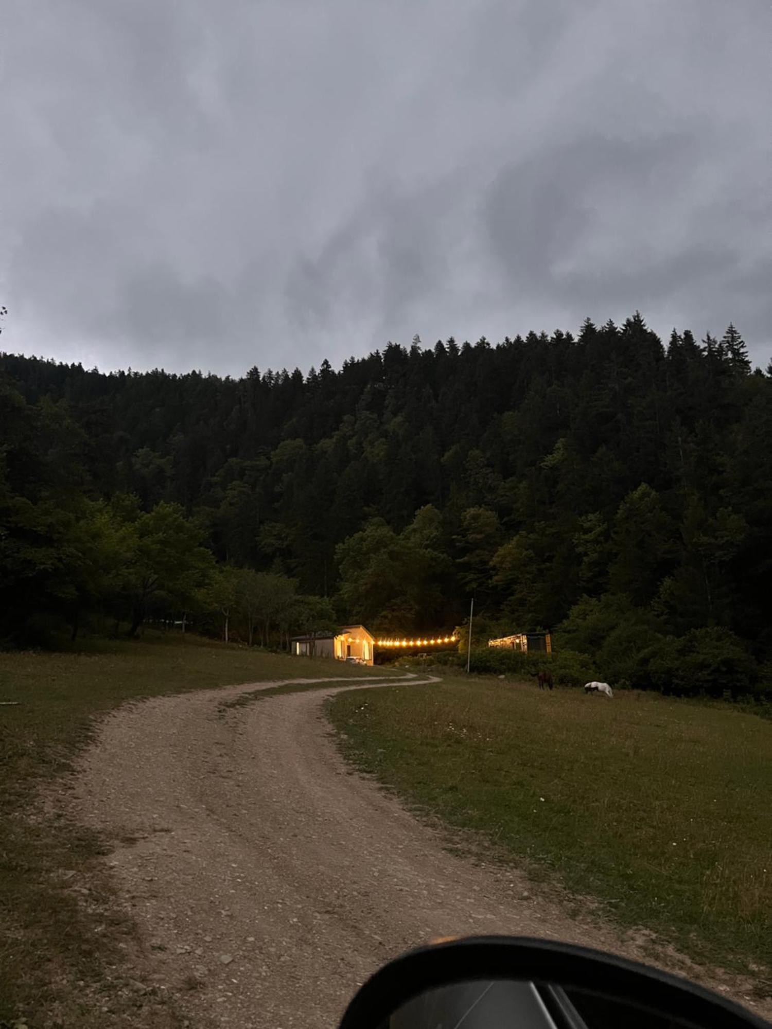 Cozy House In The Forest Borjomi Exterior foto