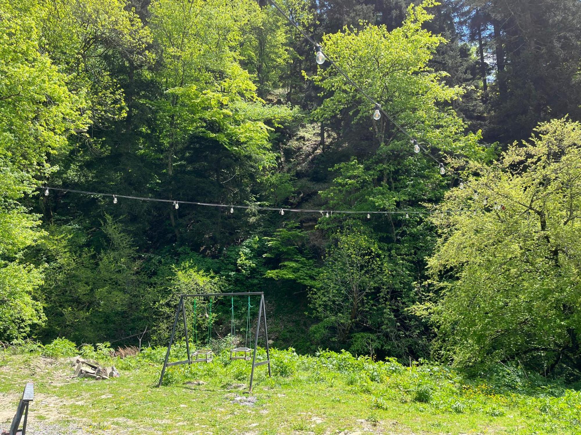 Cozy House In The Forest Borjomi Exterior foto
