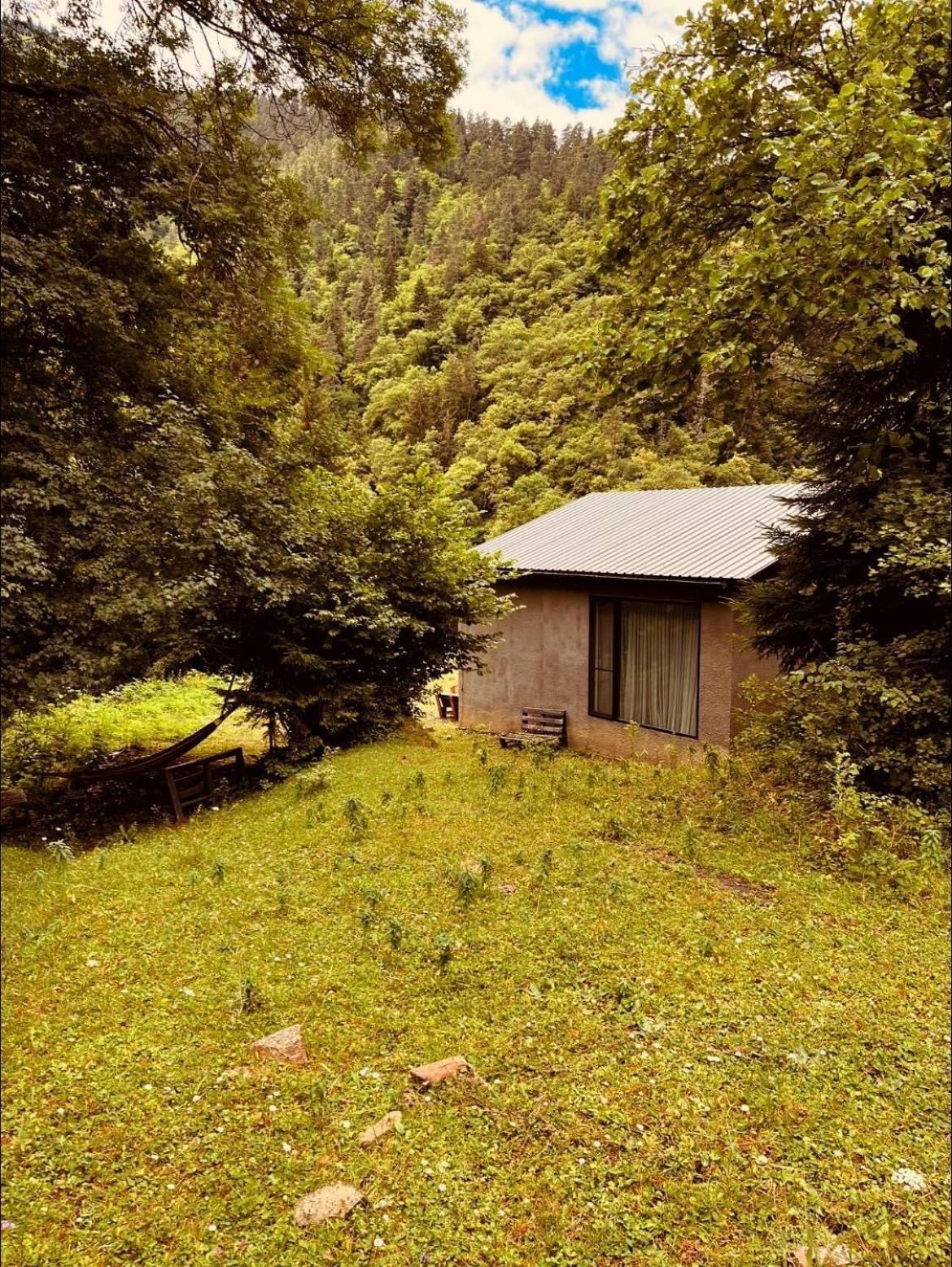 Cozy House In The Forest Borjomi Exterior foto